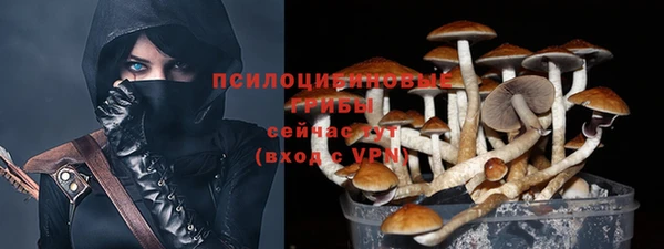 МДПВ Верхнеуральск