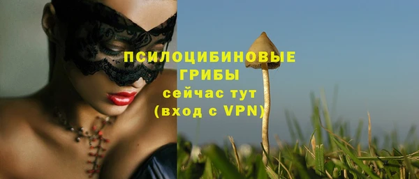 2c-b Верхний Тагил